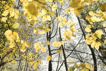Die Farben im Herbst