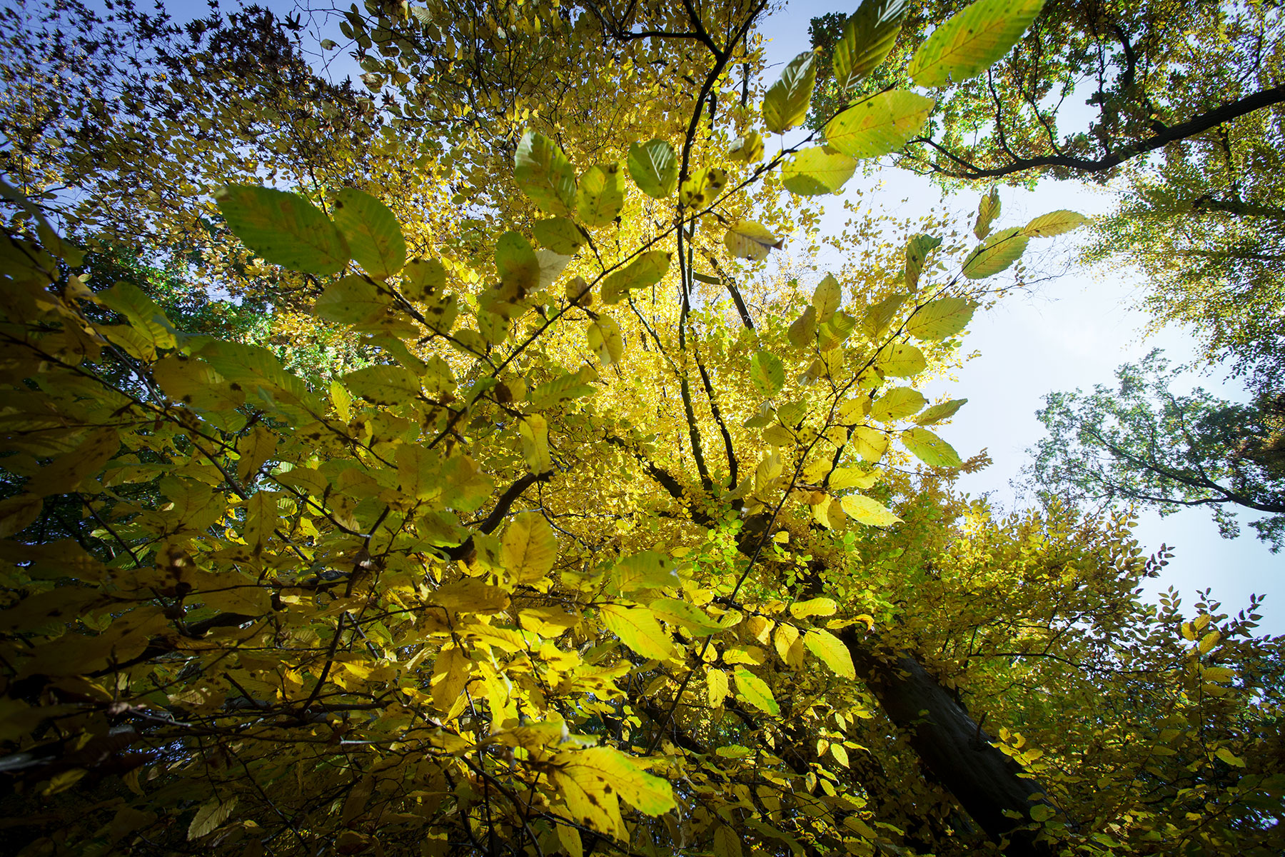"Gras", Landschaft, Vor der Tür